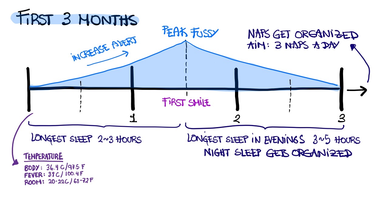 The first three months